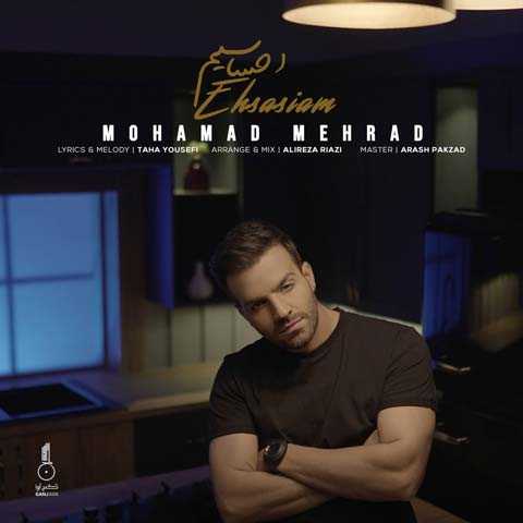 Mohamad Mehrad Ehsasiam